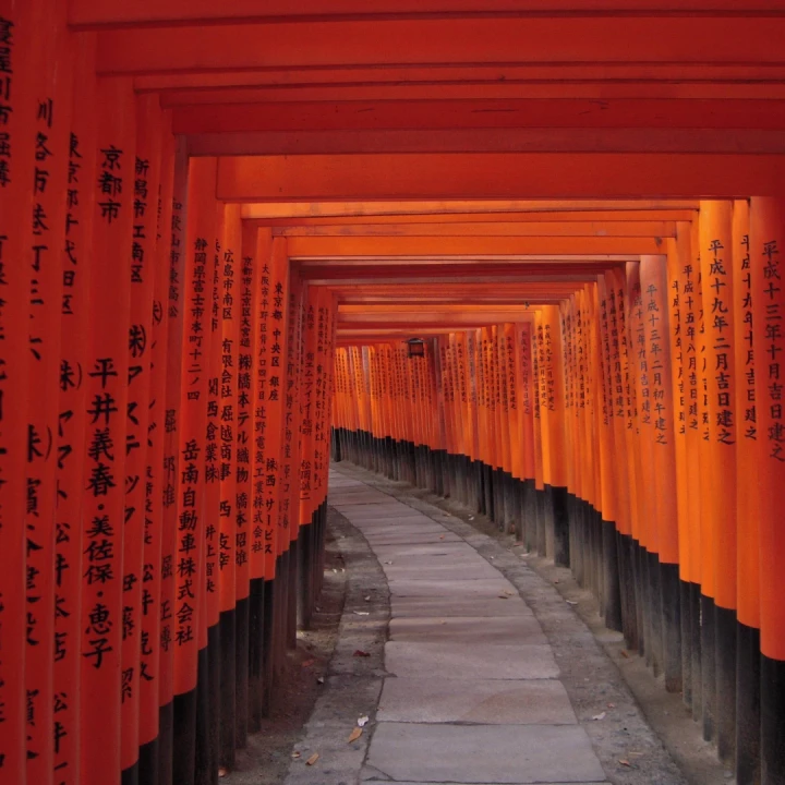 Japonia, Tur Clasic